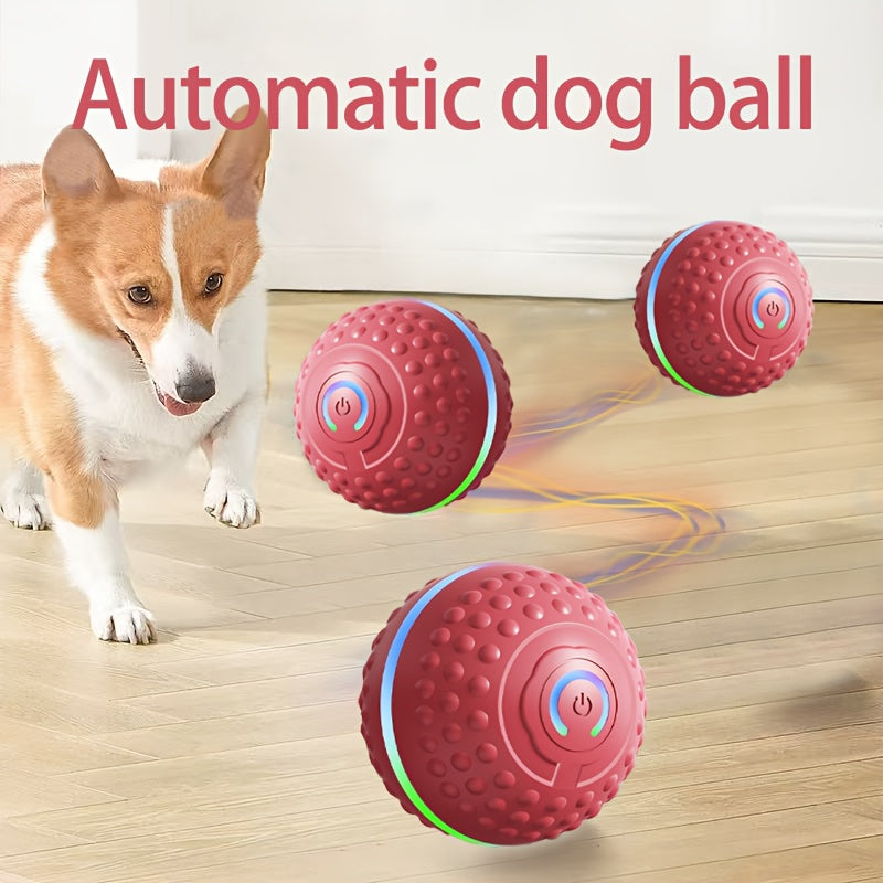 MIAOQUANJI USB Rechargeable Smart Dog Ball for All Breeds