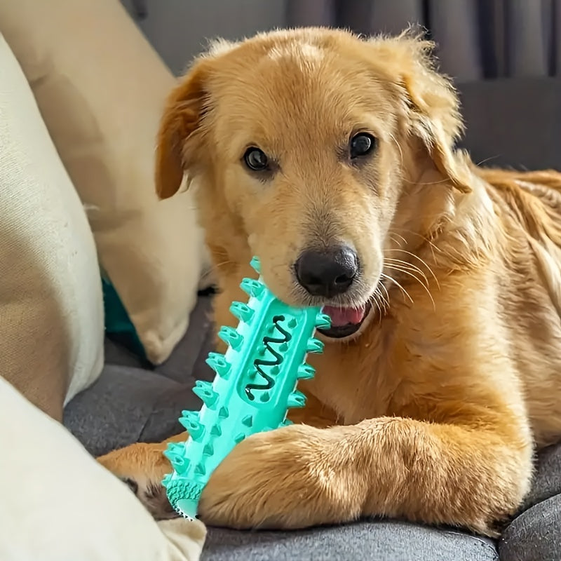 Durable Dog Toothbrush Toy for Chewing and Dental Care
