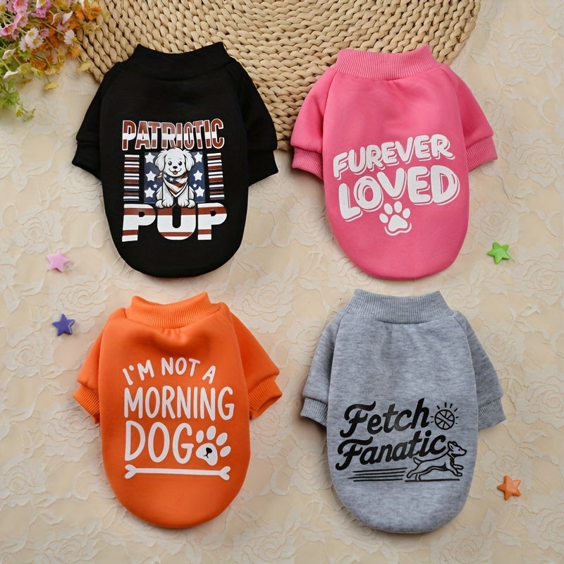 Cute Plus Velvet Dog Sweater Set for Festivals and Fun