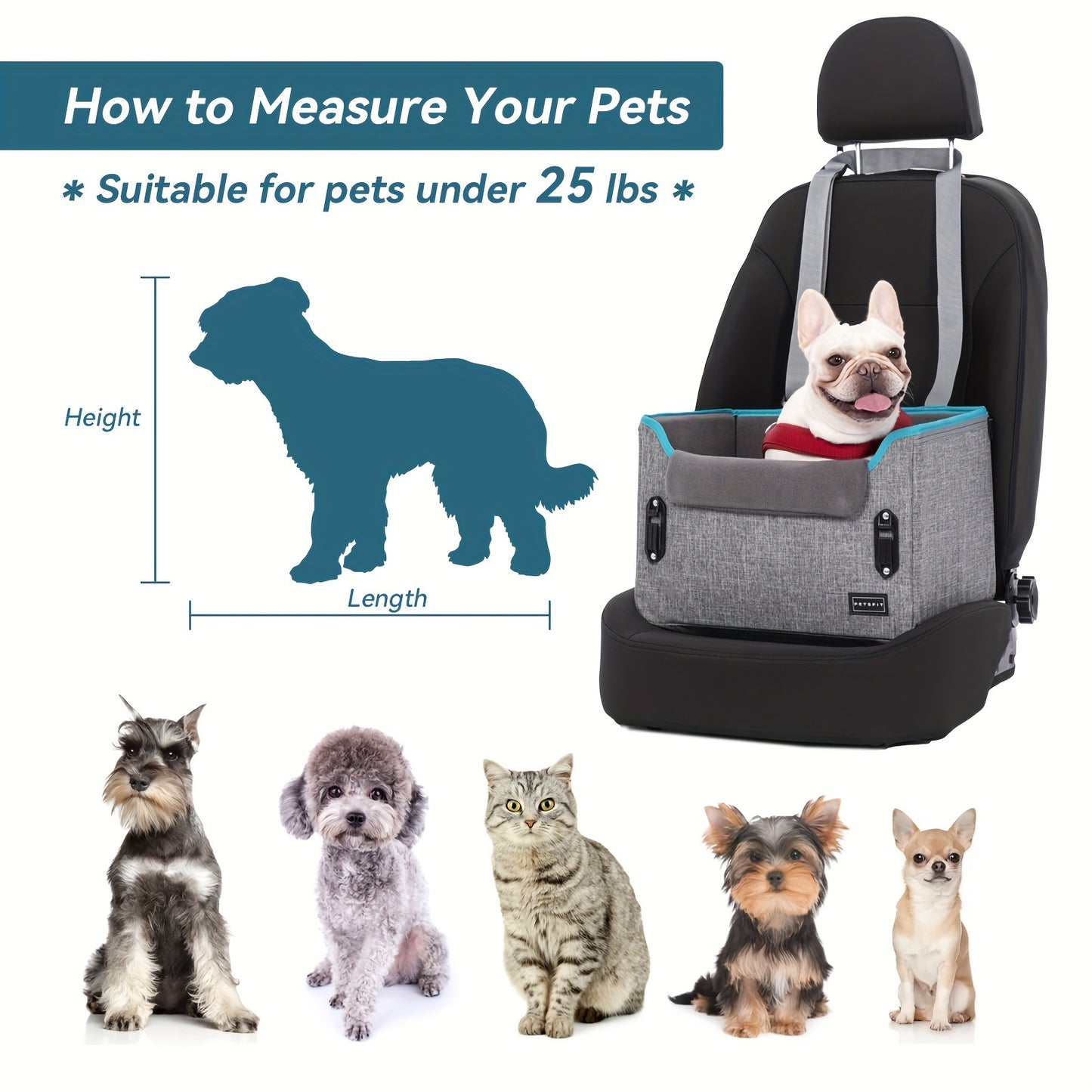 Petsfit Portable Dog Car Seat with Safe Buckles and Leash