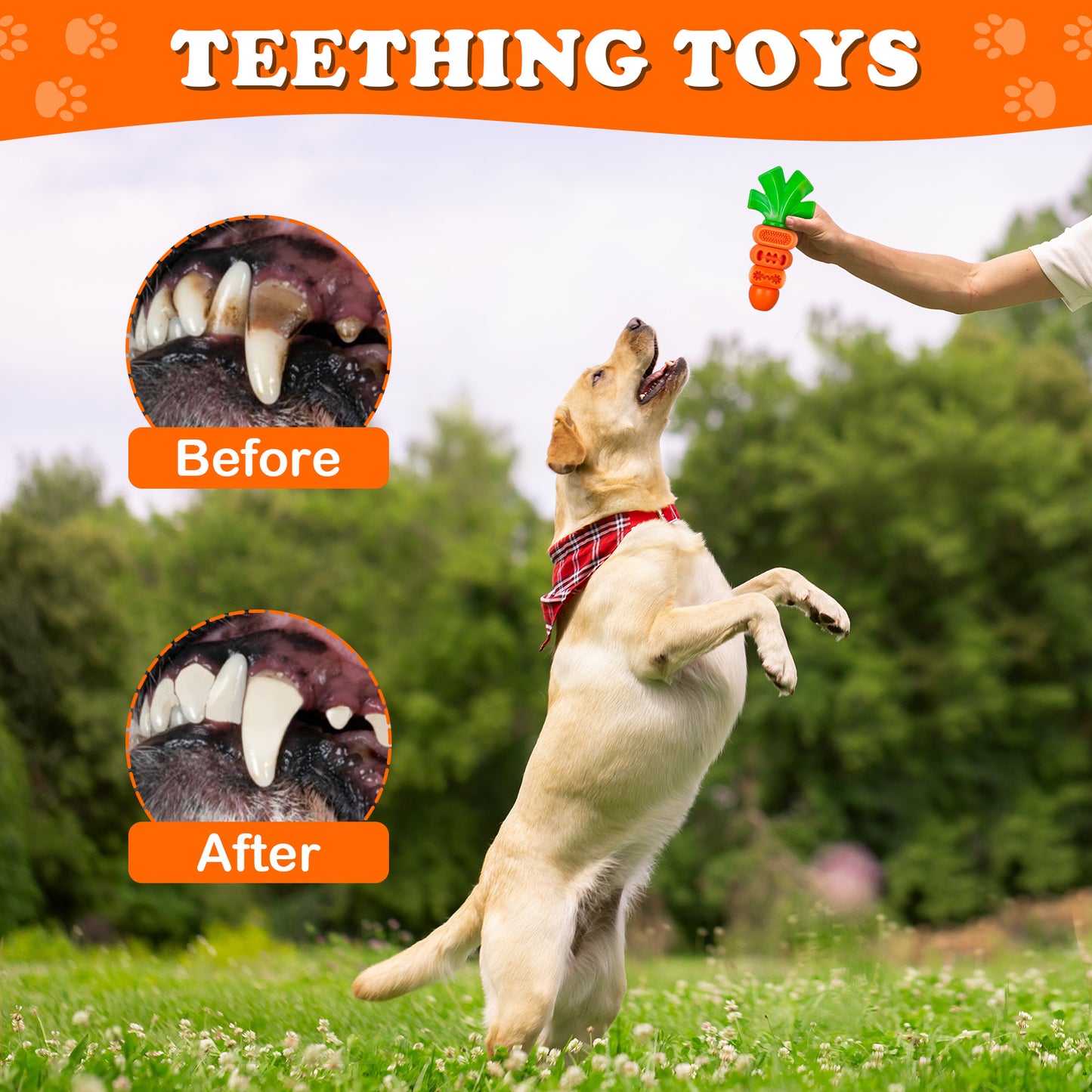 APASIRI Beef and Bacon Indestructible Dog Toys for Chewers