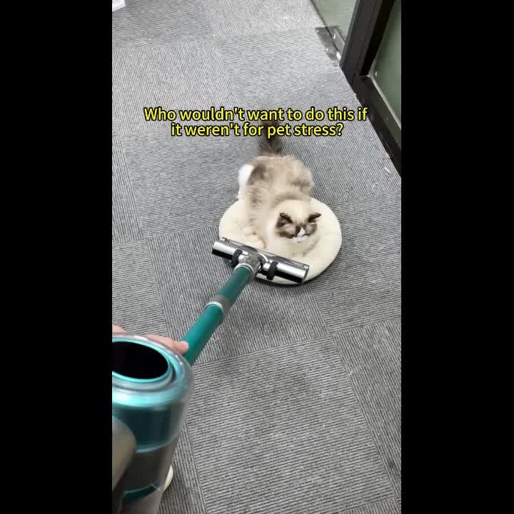 5-in-1 Dog Grooming Vacuum Kit for Easy Pet Care