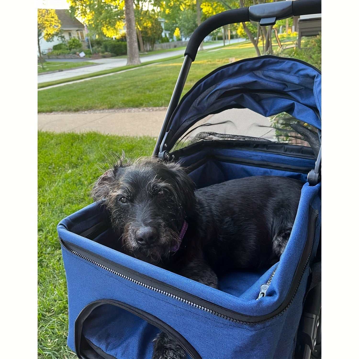 Small to Mid-Sized Pet Care Guide for Growing Veterinary Practices Pro