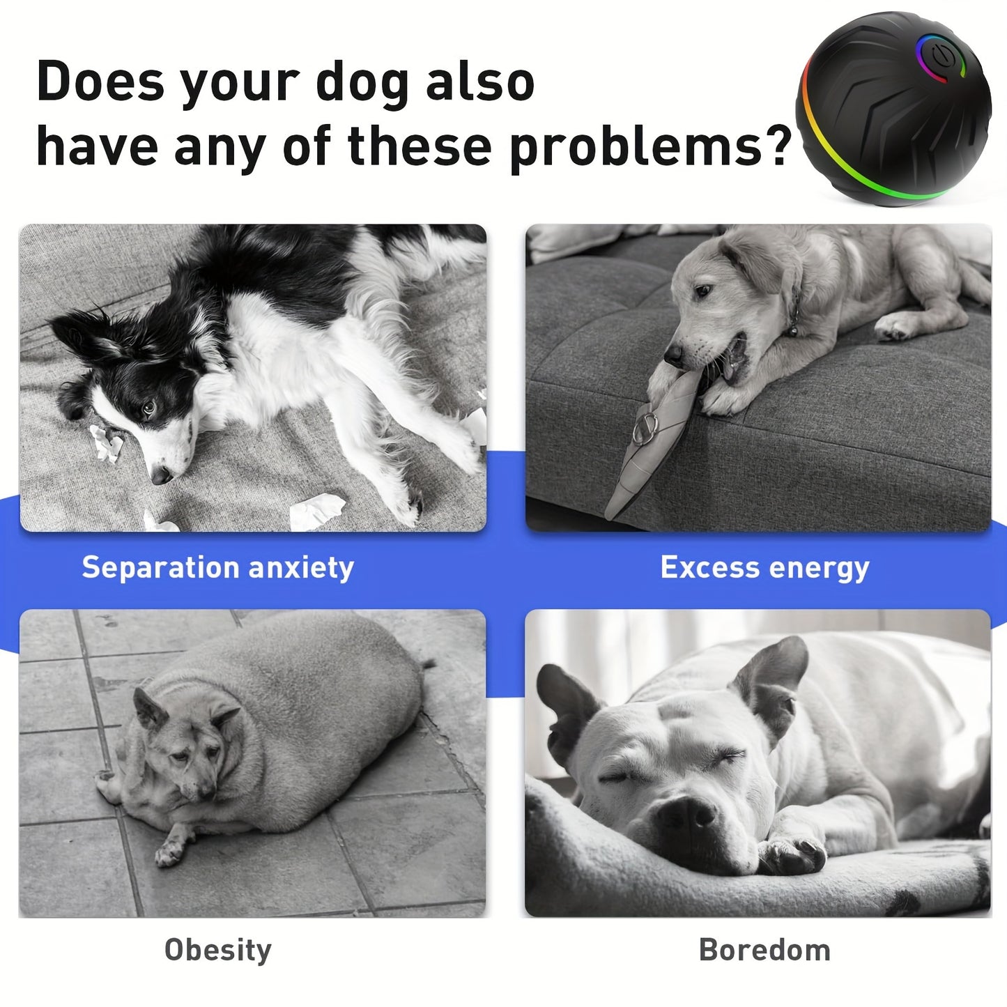 PETGRAVITY Intelligent Teasing Dog Ball with Lights