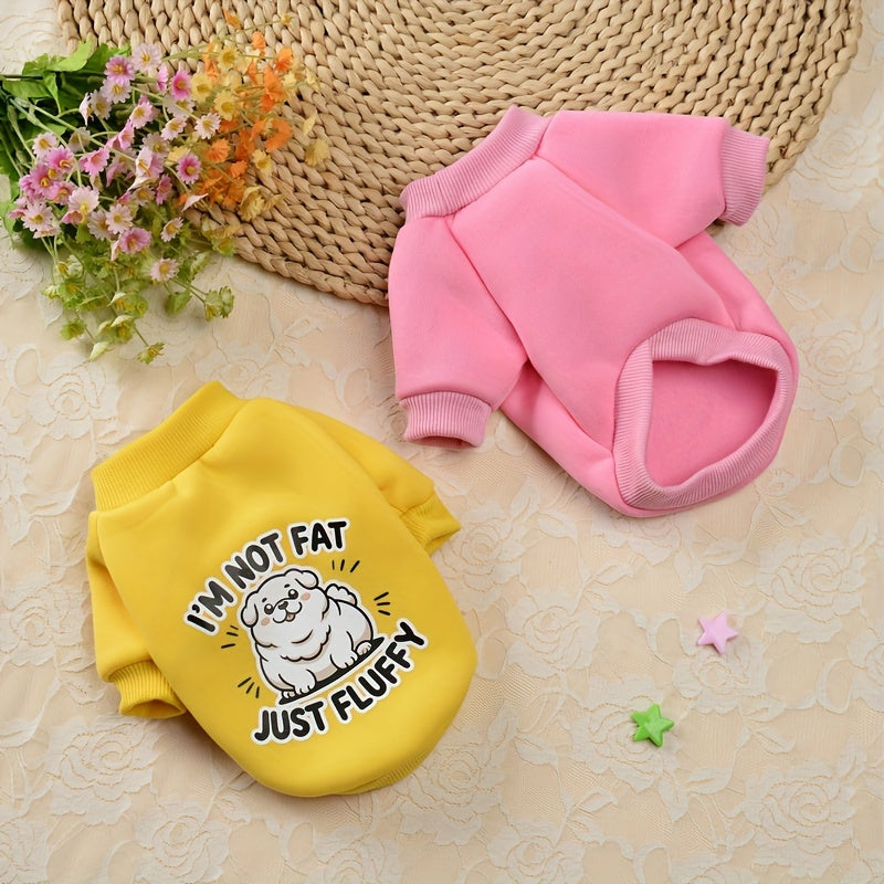 Cute Velvet Dog Sweater Set For Spring And Autumn Today