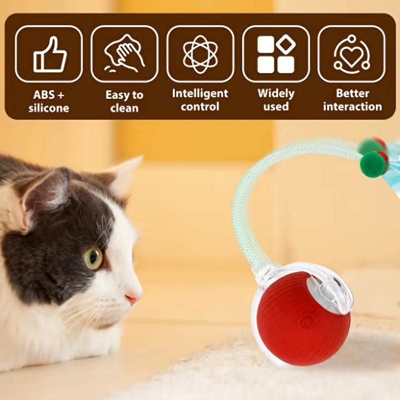 Cat Toy for Indoor Cats – Fun, Safe & Interactive Play for Happy Pets!