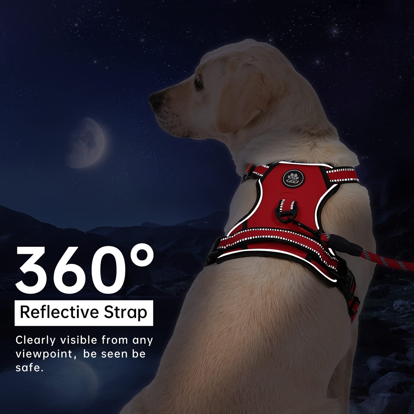 No Pull Reflective Dog Harness and Collar Set for All Dogs