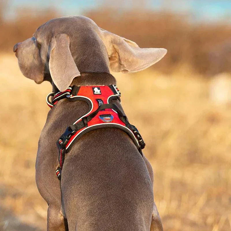 No Pull Dog Harness – Comfortable, Adjustable & Durable Fit All Breeds