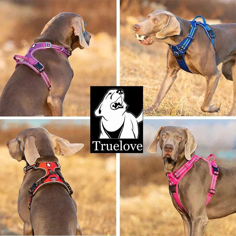 No Pull Dog Harness – Comfortable, Adjustable & Durable Fit All Breeds