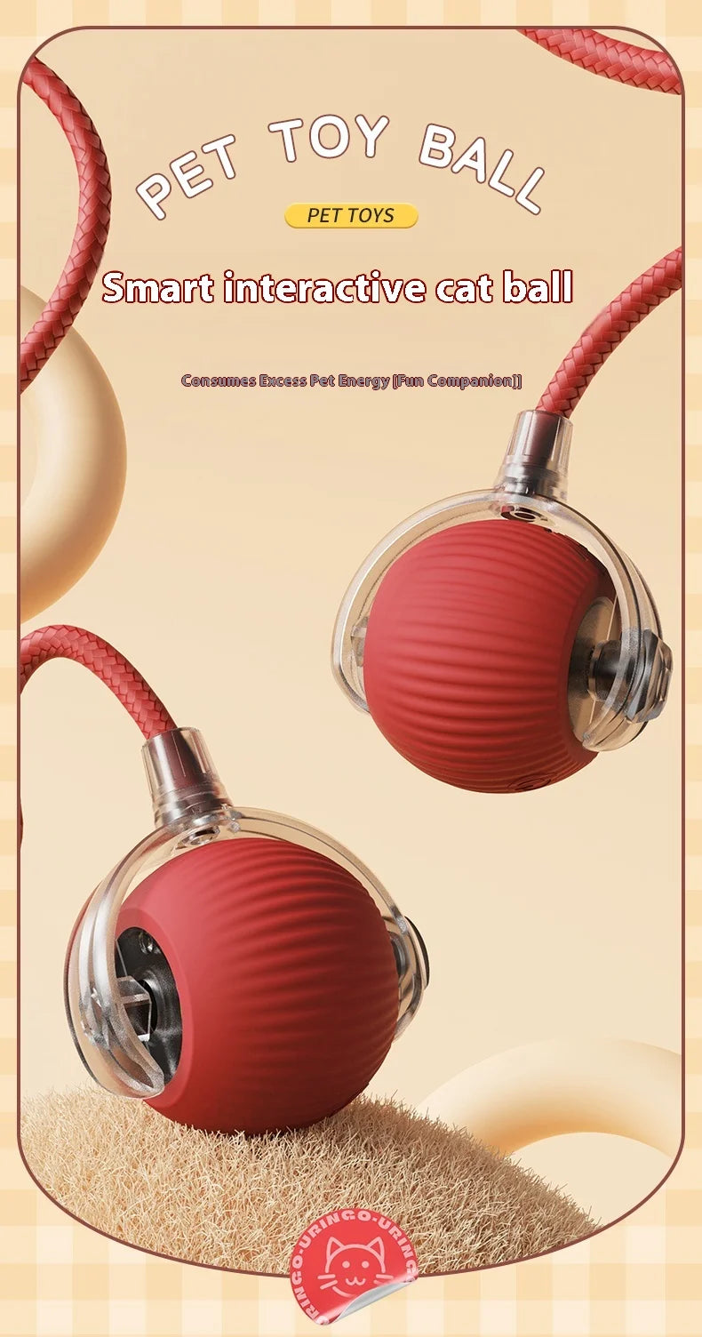 Cat Interactive Ball Toys Dual Pack Auto Rolling Rechargeable Toy