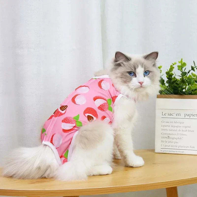 Pet Surgery Recovery Clothes Soft, Safe & Comfortable Healing Wear Now