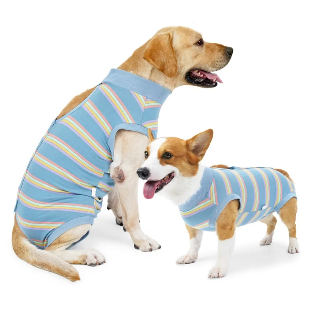 CN Zhejiang Breathable Dog Postoperative Recovery Suit