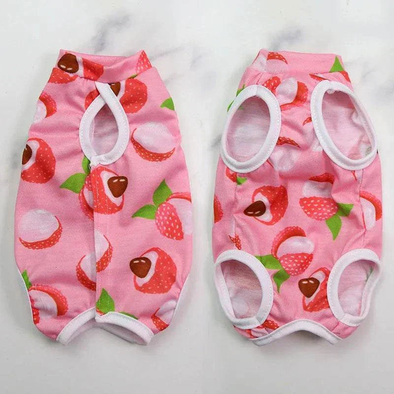 Pet Surgery Recovery Clothes Soft, Safe & Comfortable Healing Wear Now