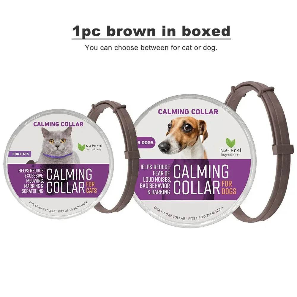 Zhejiang Dog Calming Pheromone Collar For Dogs And Cats