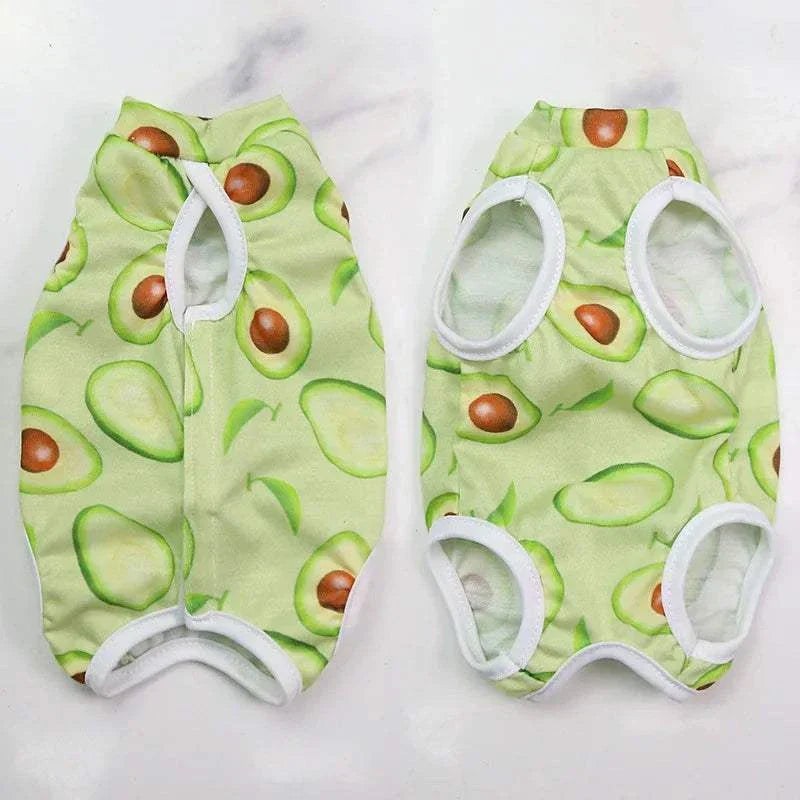 Pet Surgery Recovery Clothes Soft, Safe & Comfortable Healing Wear Now