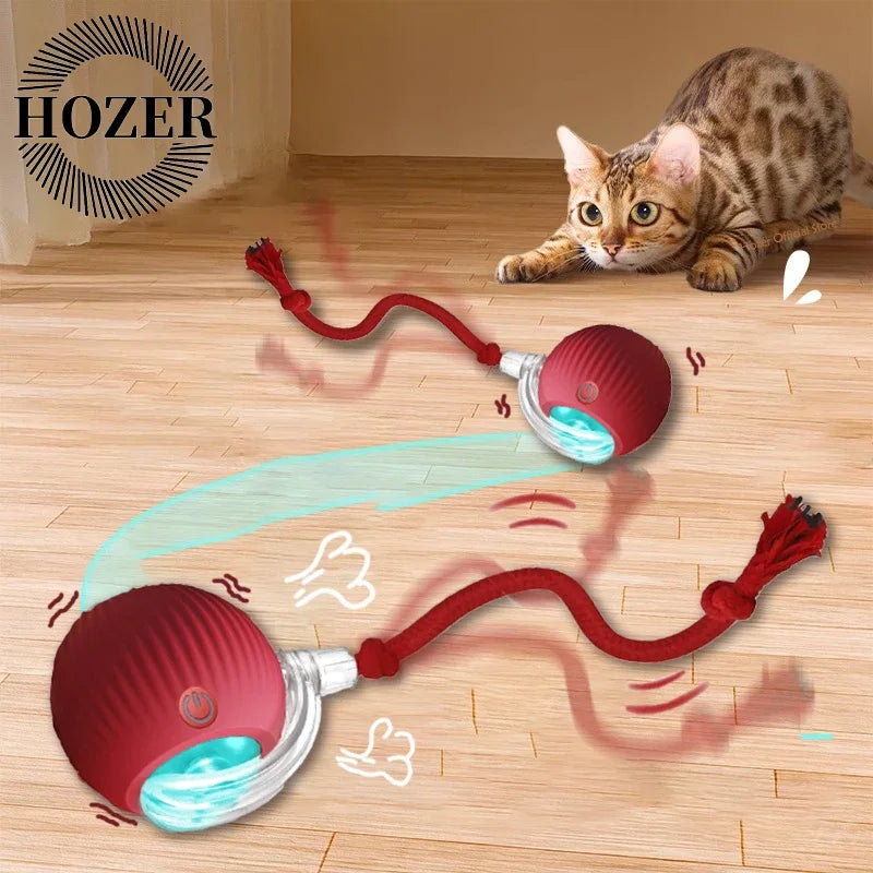 Cat Interactive Ball Toys Dual Pack Auto Rolling Rechargeable Toy