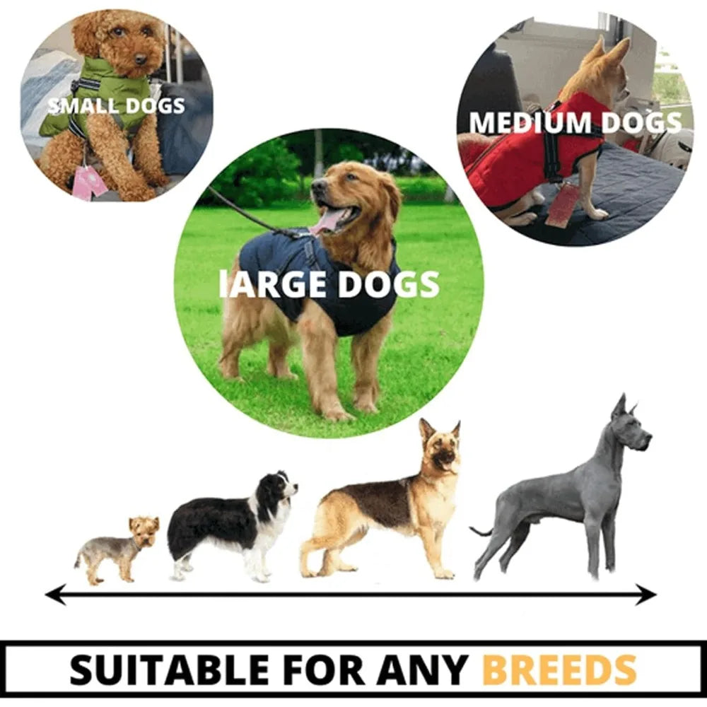 Waterproof Winter Dog Jacket With Harness For Outdoor Use