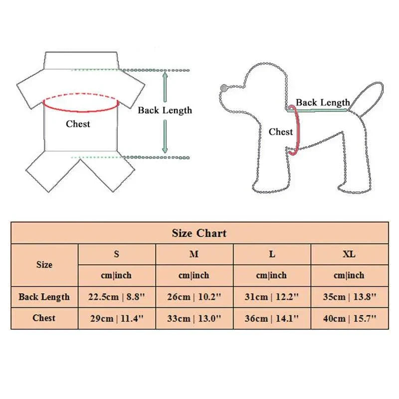 Pet Surgery Recovery Clothes Soft, Safe & Comfortable Healing Wear Now