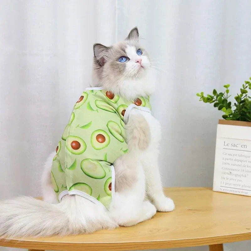 Pet Surgery Recovery Clothes Soft, Safe & Comfortable Healing Wear Now