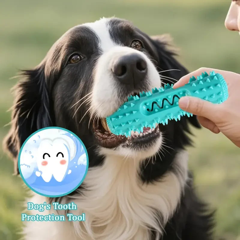 Choice Vet Approved Dental Chew for Small and Medium Dogs