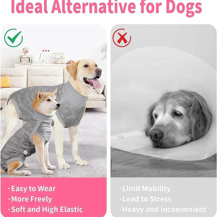 Post-Spay or Neuter Care: Recovery Tips for a Smooth Healing Guide 101