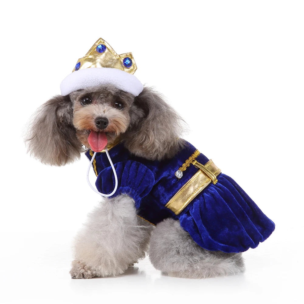 Hign-concerned Chemical Pet Cosplay Pirate Sorcerer Costume