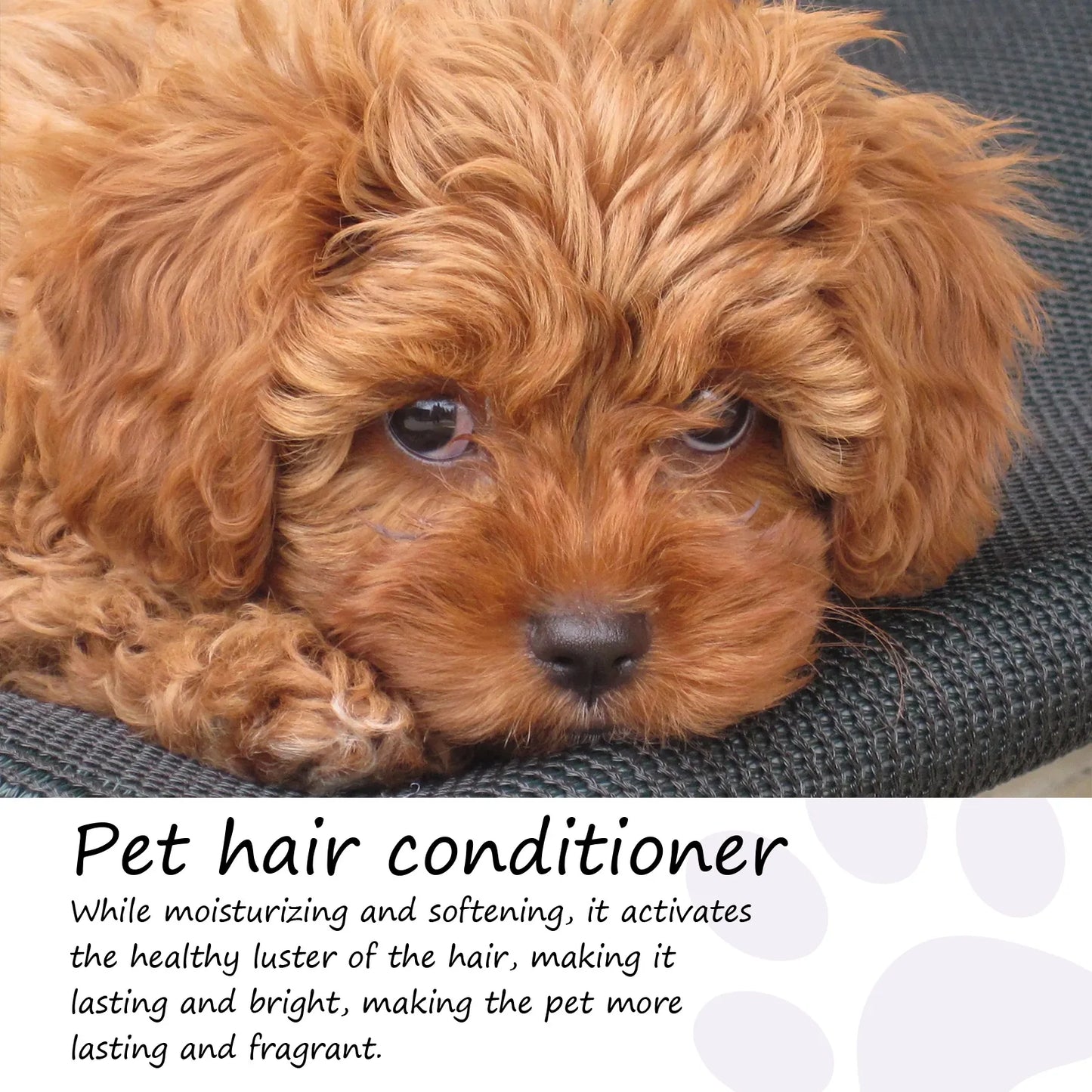YEGBONG Pet Hair Care Cream For Cats And Dogs Softening Conditioner