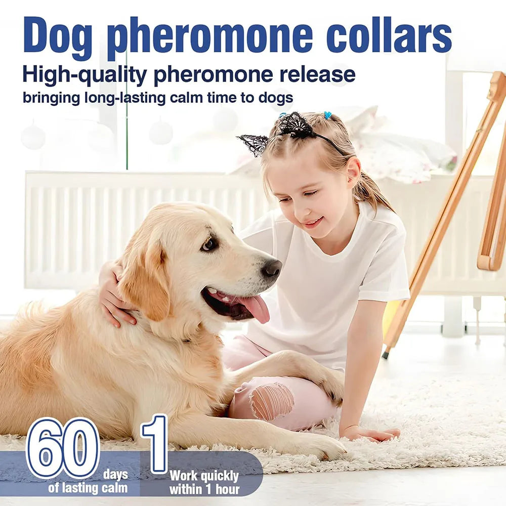 Zhejiang Dog Calming Pheromone Collar For Dogs And Cats