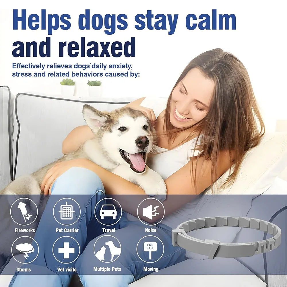 Zhejiang Dog Calming Pheromone Collar For Dogs And Cats