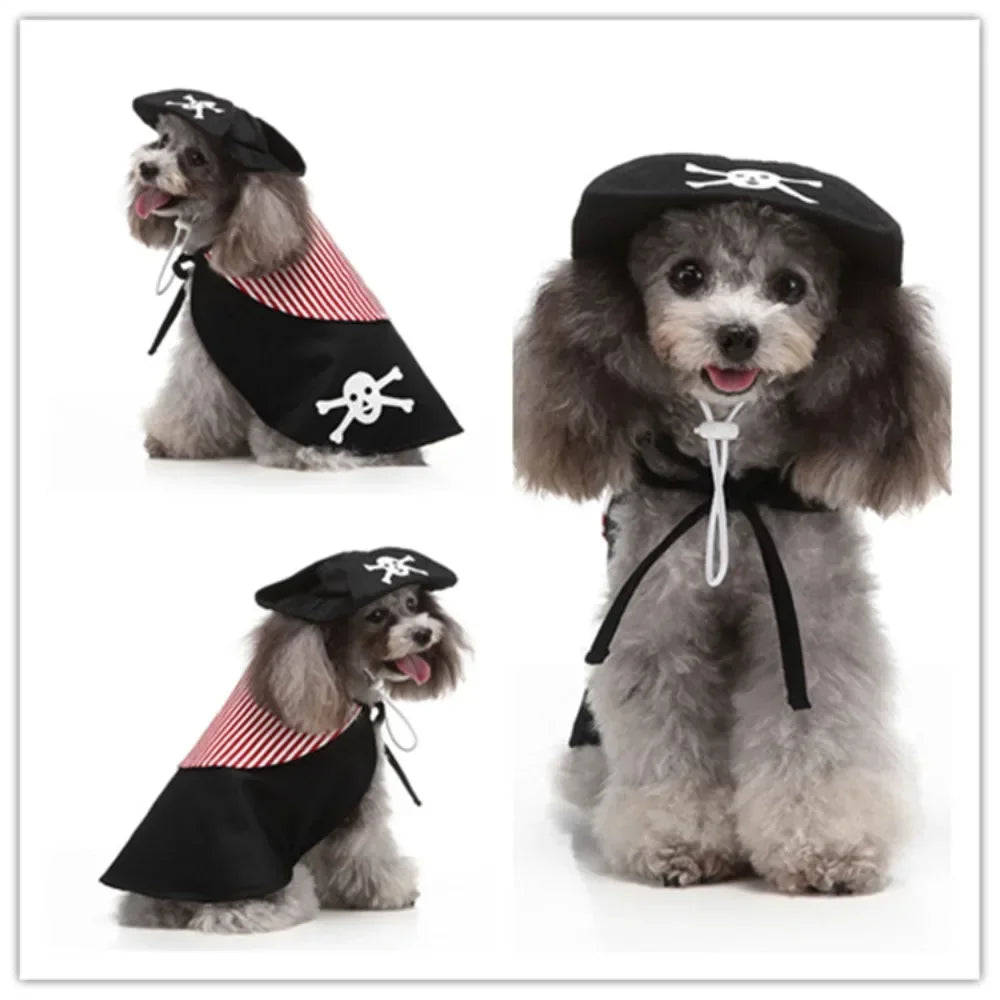 Hign-concerned Chemical Pet Cosplay Pirate Sorcerer Costume