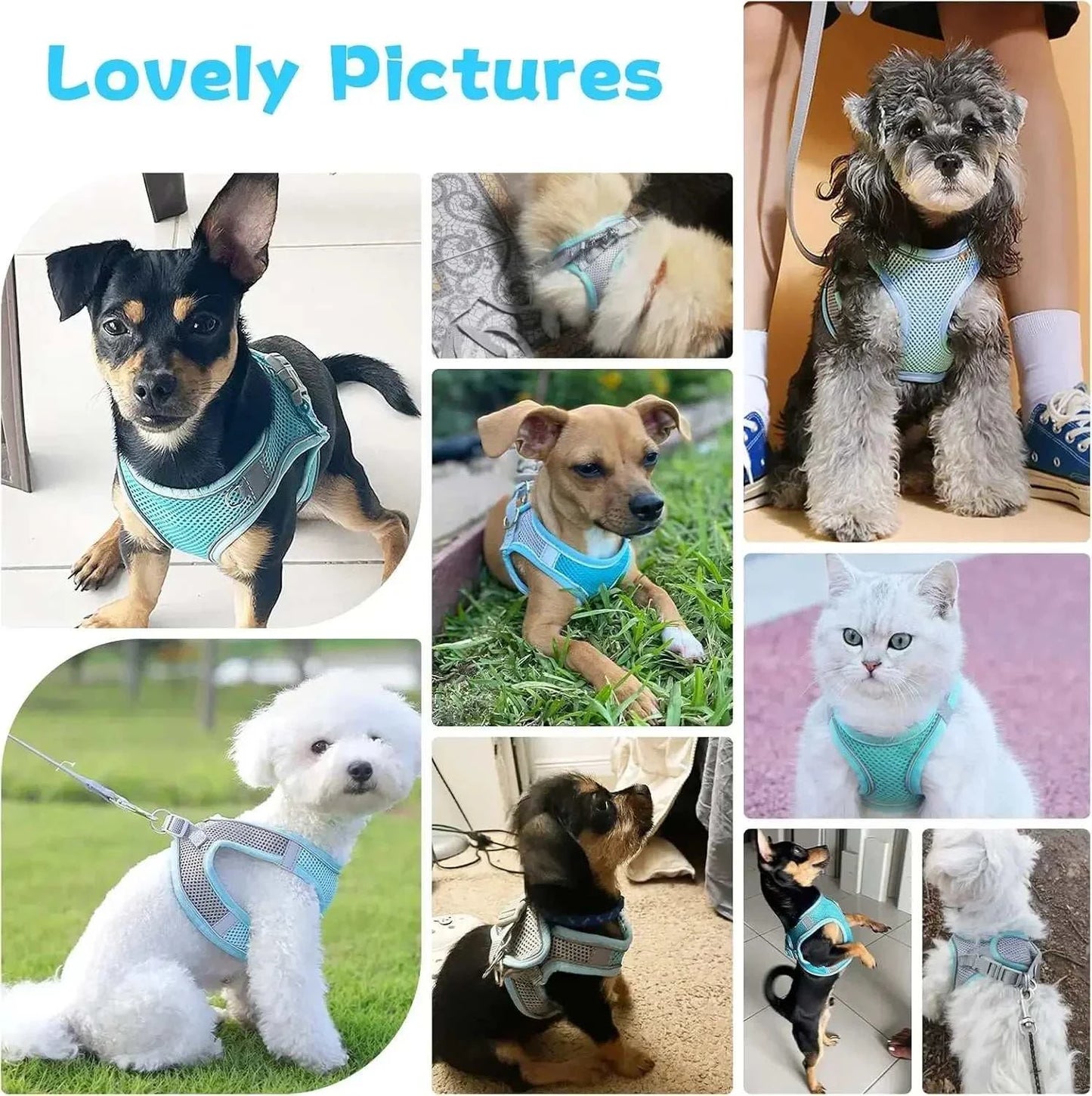 Cat Harness Adjustable Pet Harnesses Reflective Leashes Set Pet Harness for Cats Small Dogs Pug Chihuahua Cat Accessories