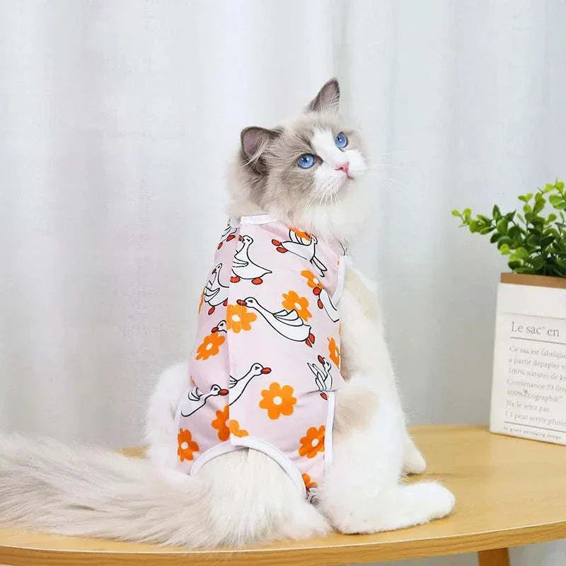 Pet Surgery Recovery Clothes Soft, Safe & Comfortable Healing Wear Now