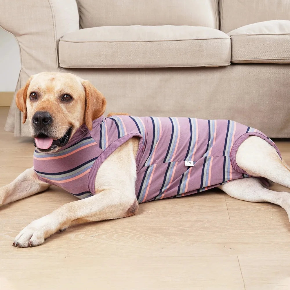 CN Zhejiang Breathable Dog Postoperative Recovery Suit