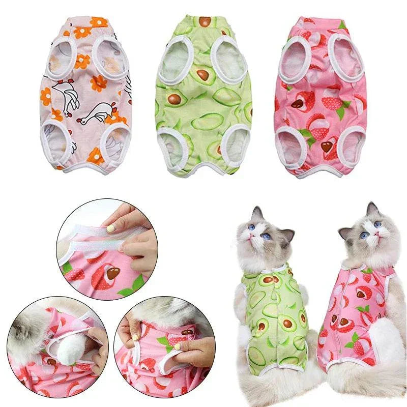 Pet Surgery Recovery Clothes Soft, Safe & Comfortable Healing Wear Now