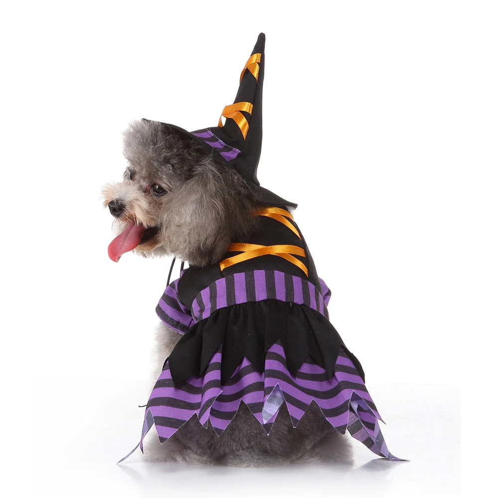 Hignconcerned Funny Halloween Pet Cat Clothes Costume