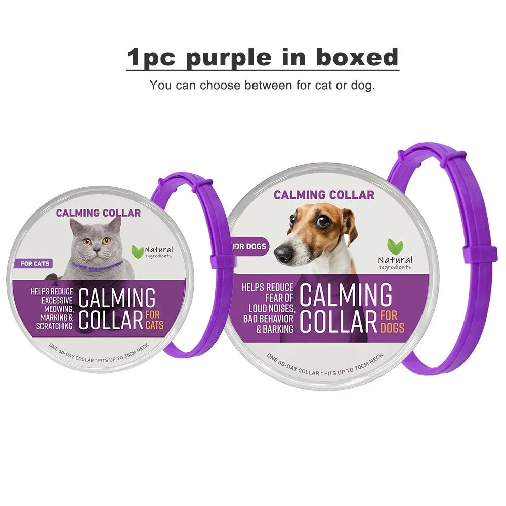 Zhejiang Dog Calming Pheromone Collar For Dogs And Cats