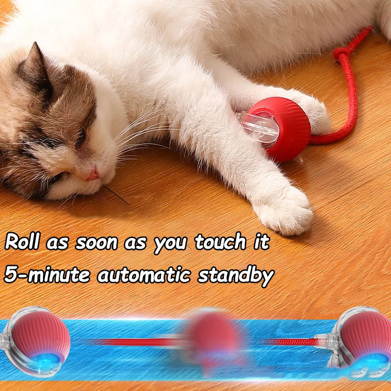 Cat Interactive Ball Toys Dual Pack Auto Rolling Rechargeable Toy