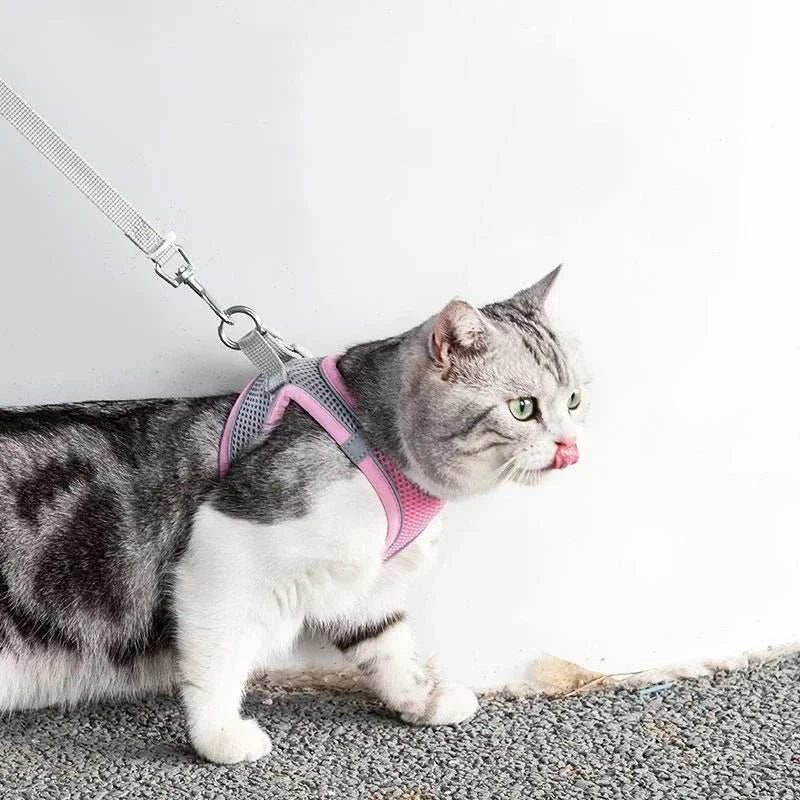 Cat Harness Adjustable Pet Harnesses Reflective Leashes Set Pet Harness for Cats Small Dogs Pug Chihuahua Cat Accessories