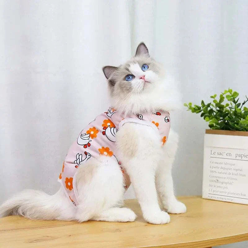 Pet Surgery Recovery Clothes Soft, Safe & Comfortable Healing Wear Now