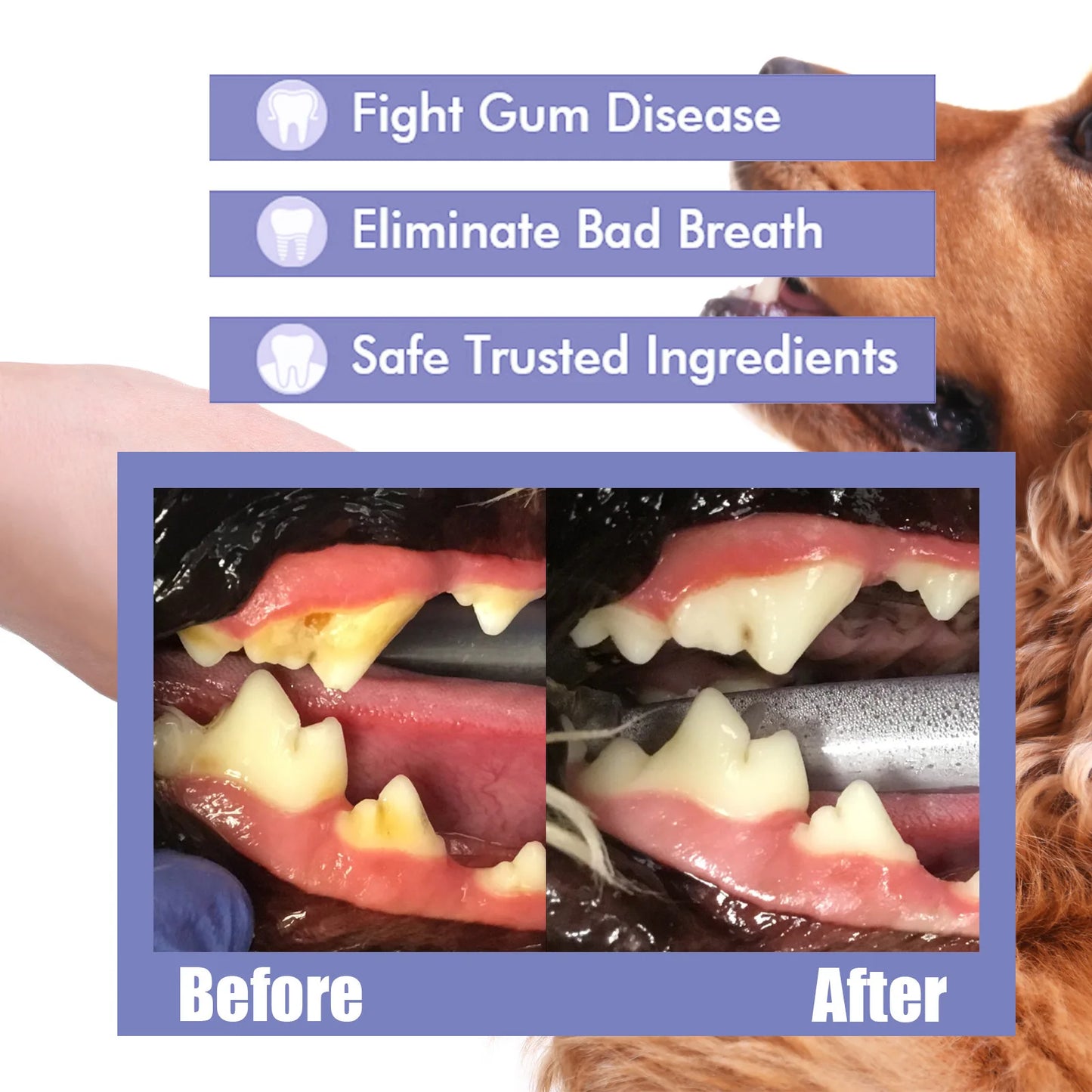 YEGBONG Pet Oral Cleanse Spray for Dogs Teeth Whitening