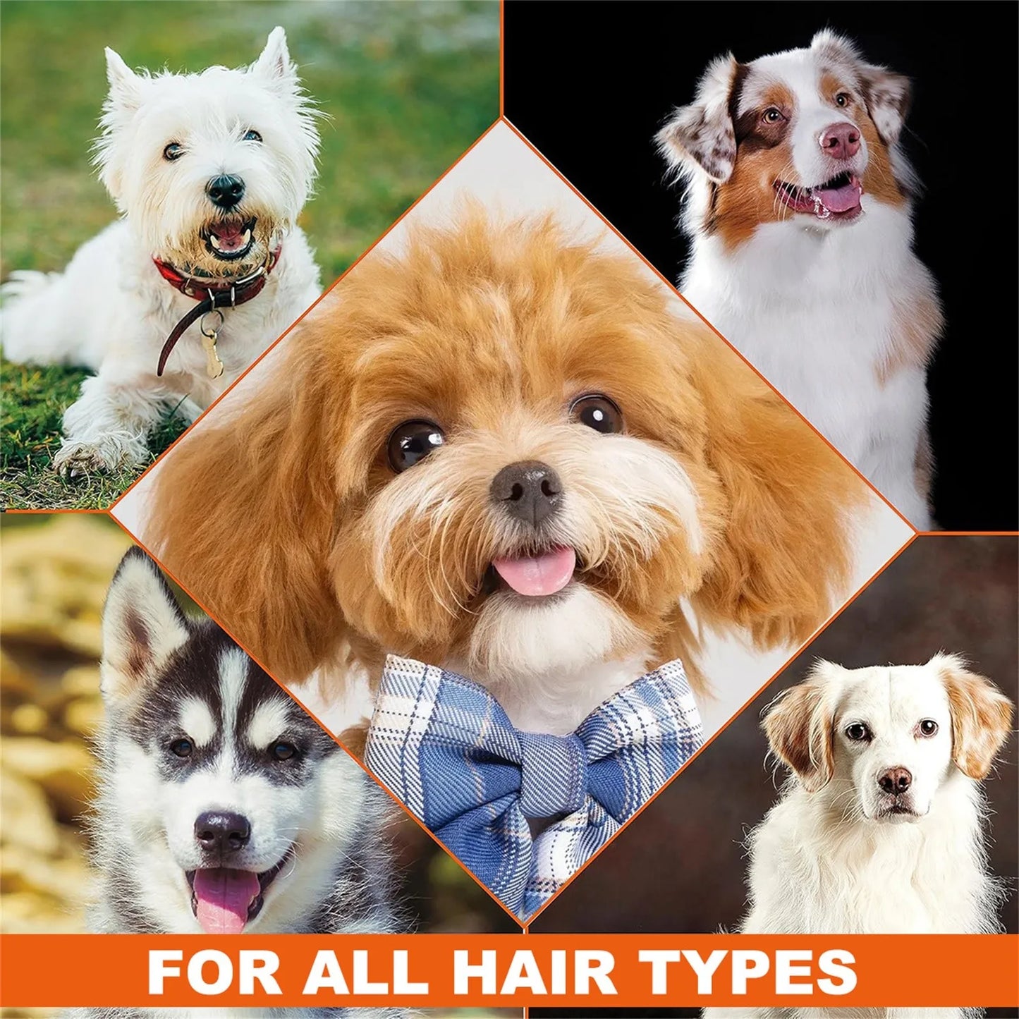 Four In One Calming Dog Shampoo Lavender Chamomile For Dogs