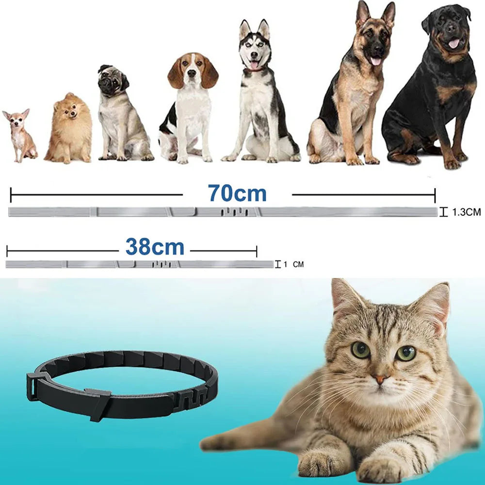 Decoration Pet Calming Collar for Cats and Dogs Breakaway