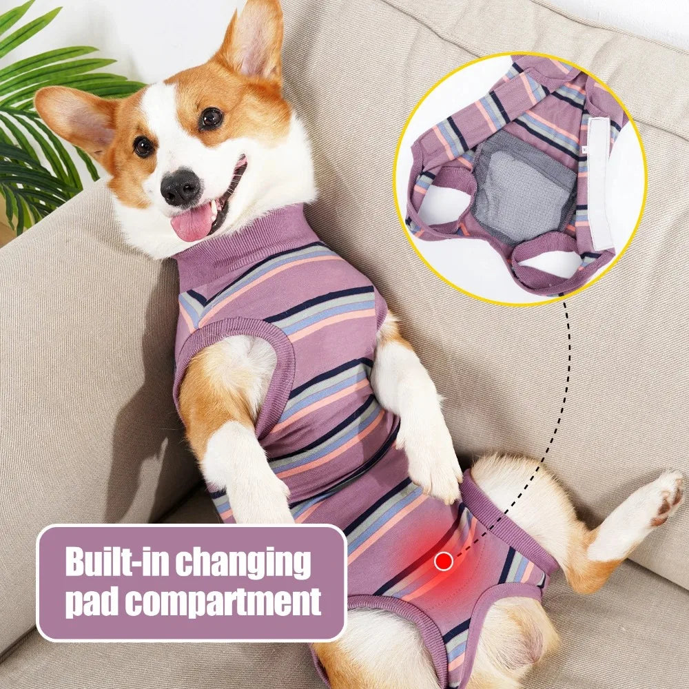 CN Zhejiang Breathable Dog Postoperative Recovery Suit