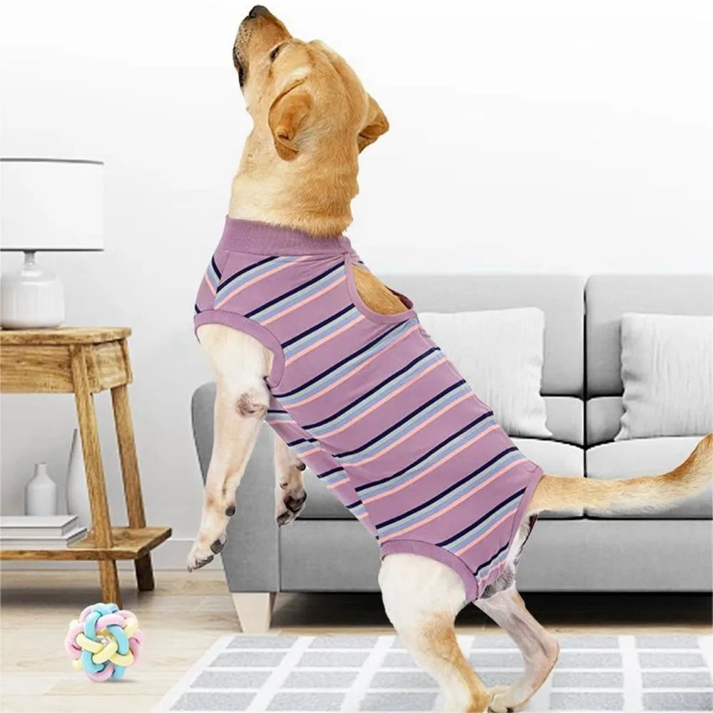 CN Zhejiang Breathable Dog Postoperative Recovery Suit