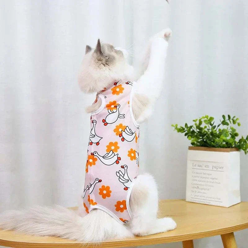 Pet Surgery Recovery Clothes Soft, Safe & Comfortable Healing Wear Now