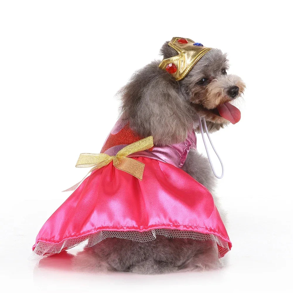 Hignconcerned Funny Halloween Pet Cat Clothes Costume