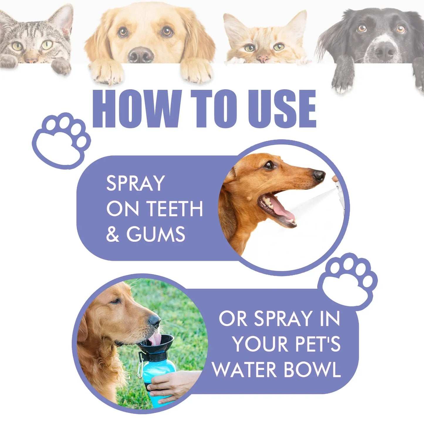 YEGBONG Pet Oral Cleanse Spray for Dogs Teeth Whitening