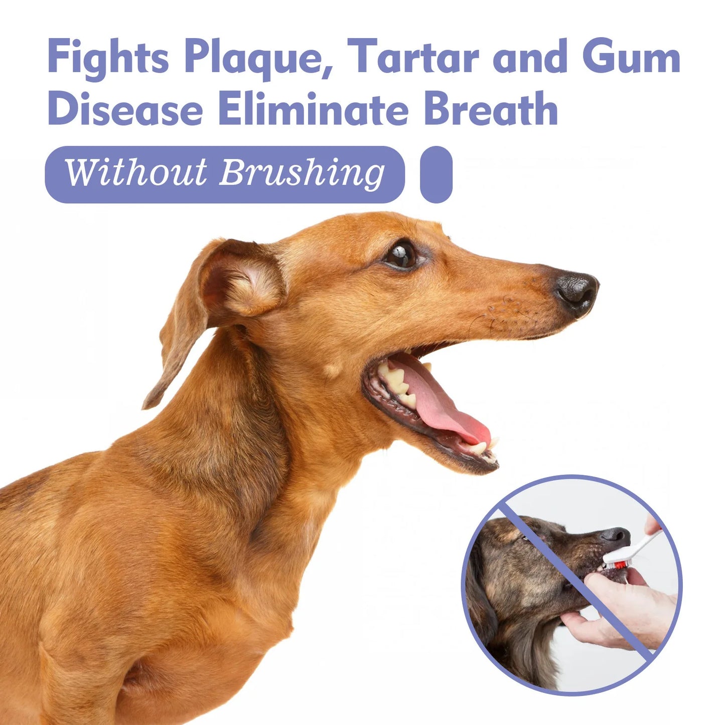 YEGBONG Pet Oral Cleanse Spray for Dogs Teeth Whitening