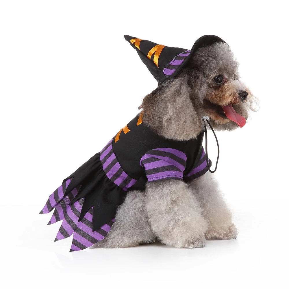 Hignconcerned Funny Halloween Pet Cat Clothes Costume