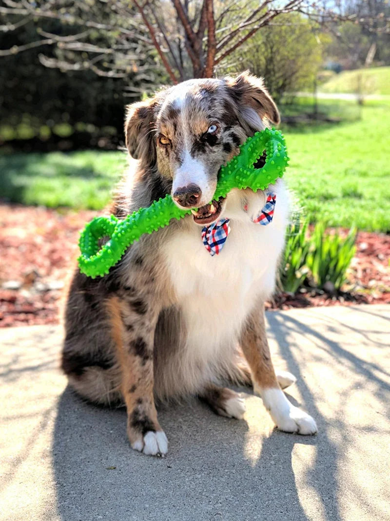 Pet Toys, Dog Toys, Durable Chew Sticks, Chew Bones, Golden Retriever, Border Collie, Labrador, Large Dog Boredom-Relief Toys